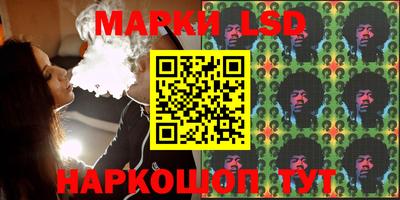 индика Камышлов