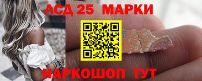 индика Камышлов