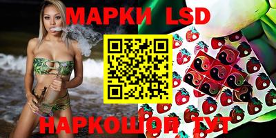 индика Камышлов
