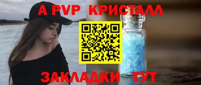 индика Камышлов