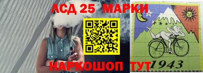 индика Камышлов