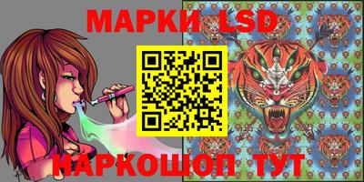 индика Камышлов