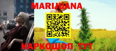 индика Камышлов