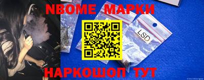 индика Камышлов