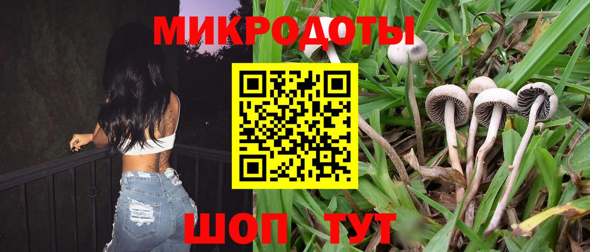 Луховицы  Псилоцибиновые грибы GOLDEN TEACHER  Вход с VPN 